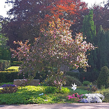 Garten der Sternenkinder