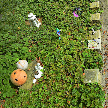 Garten der Sternenkinder